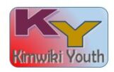 logo KIMWIKI YOUTH ACTION LTD