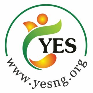 logo Youth Empowerment Solutions Initiative