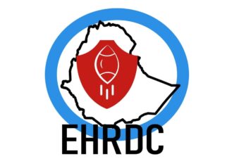 logo Ethiopian Human Rights Defenders center (EHRDC)