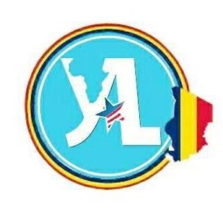 logo Young African Leaders Initiative  (YALI Chad)