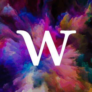 logo Wonderfuture