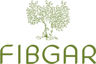 logo Baltasar Garzón International Foundation (FIBGAR)