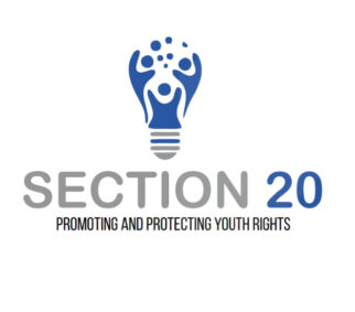 logo Section20