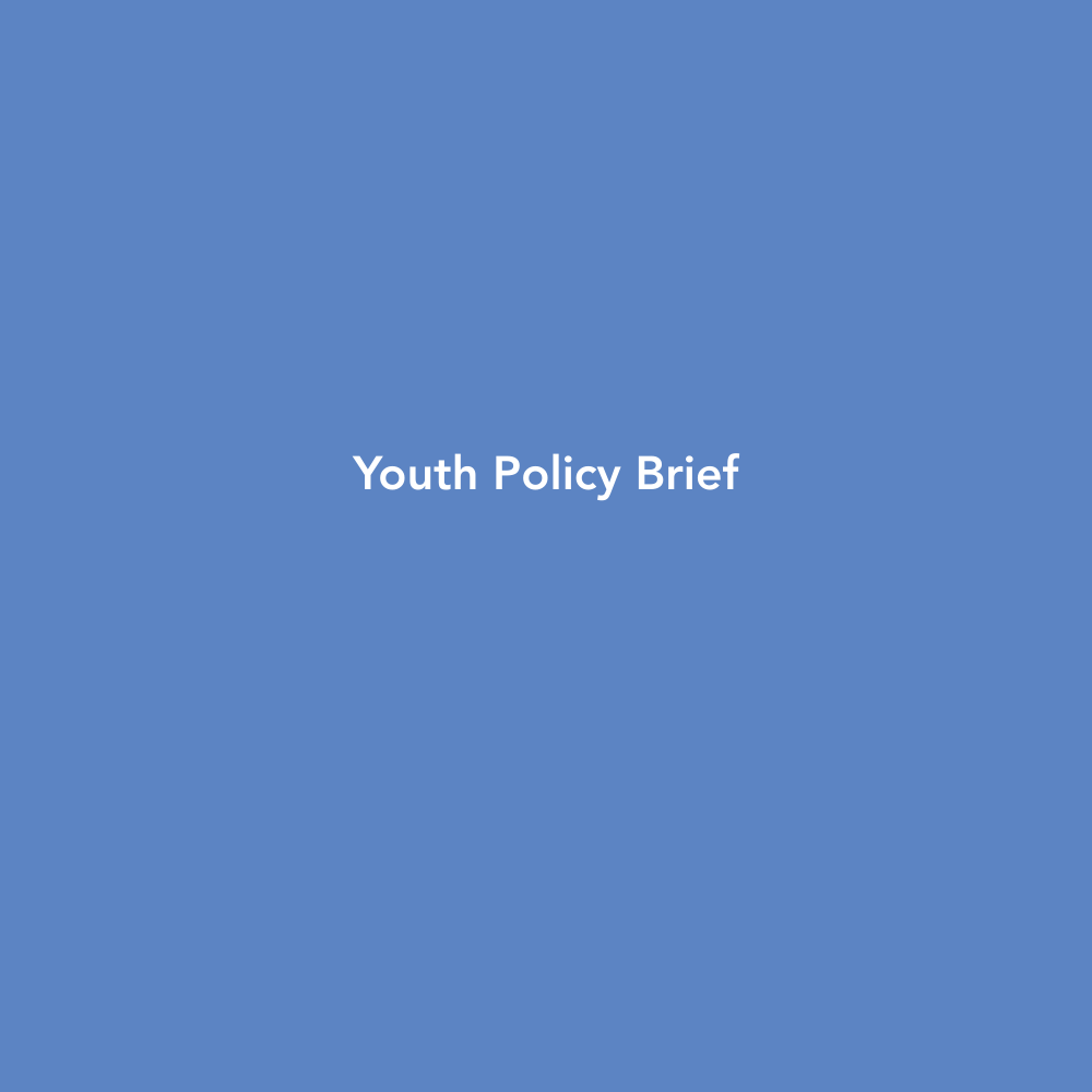 Youth policy brief