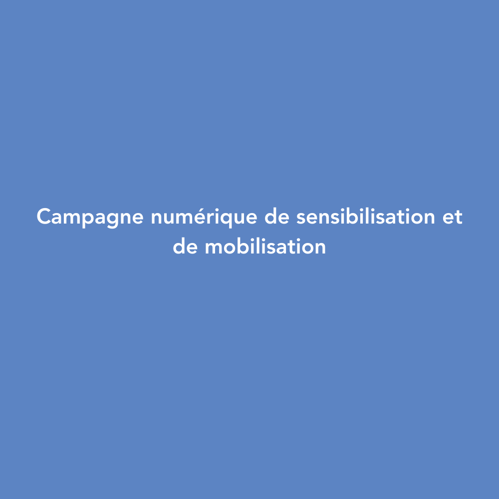 digital advocacy and mobilisation campaign