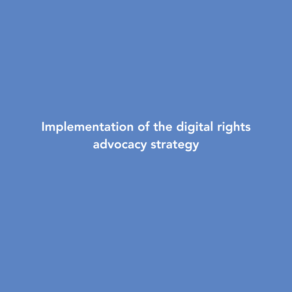 implementing the advocacy strategy