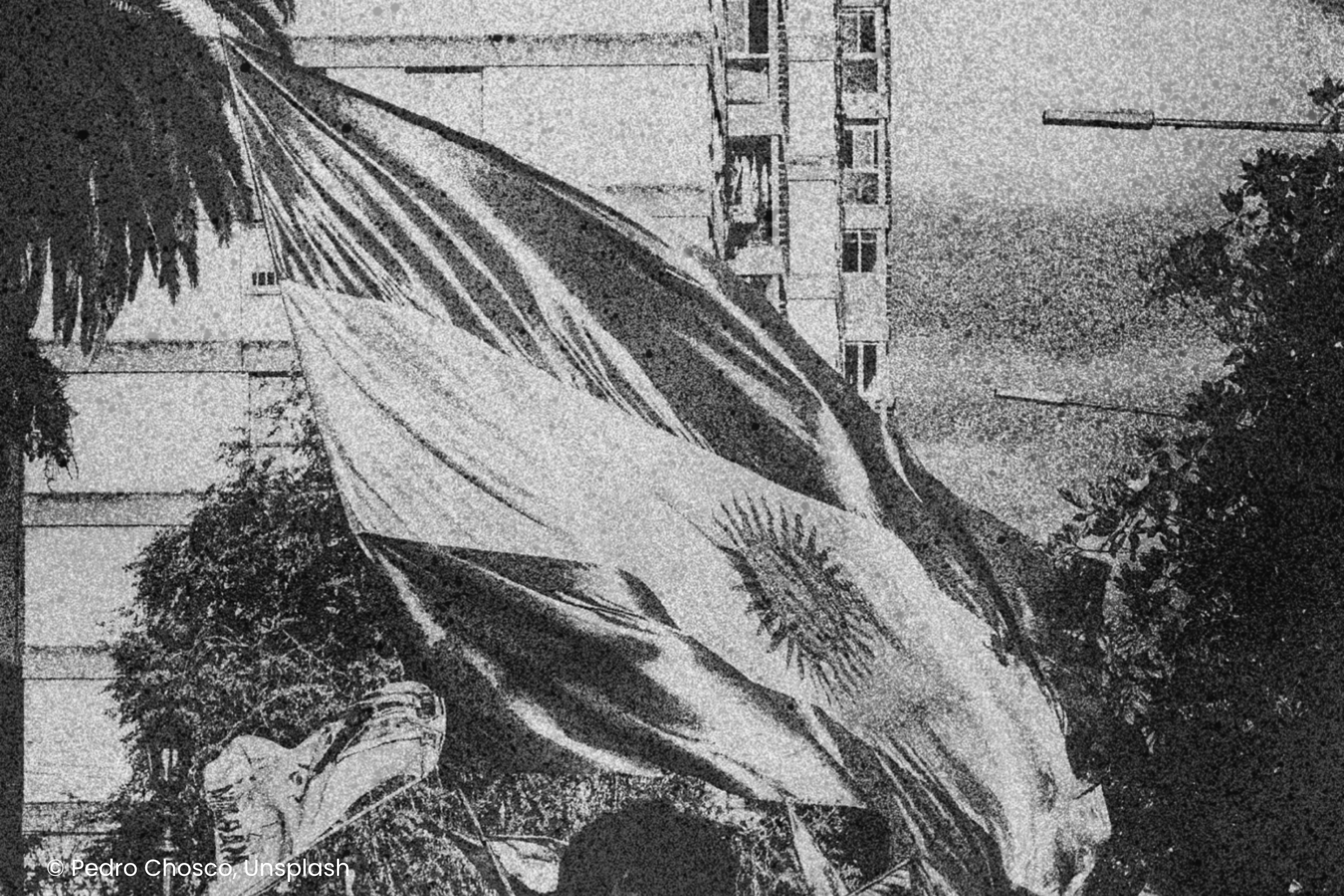 Municipal Youth
Policies and Participation
in Argentina and Paraguay